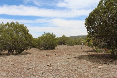 Mountain Land for Sale in Westwood Ranches No HOA - image 8