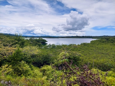 Own a remote Island, Bocas del Toro Panama, great price! - image 8