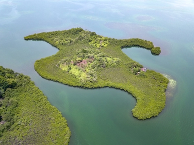 Own a remote Island, Bocas del Toro Panama, great price! - image 21