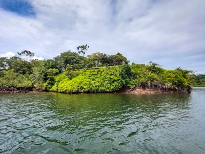 Own a remote Island, Bocas del Toro Panama, great price! - image 14