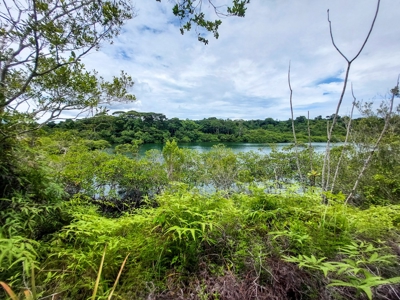 Own a remote Island, Bocas del Toro Panama, great price! - image 12