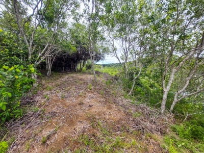 Own a remote Island, Bocas del Toro Panama, great price! - image 11