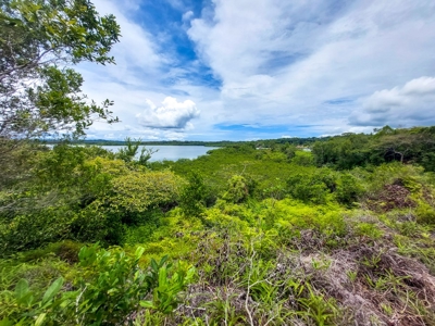 Own a remote Island, Bocas del Toro Panama, great price! - image 5