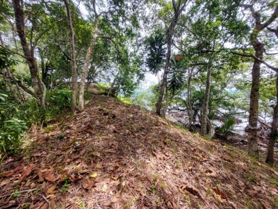 Own a remote Island, Bocas del Toro Panama, great price! - image 13