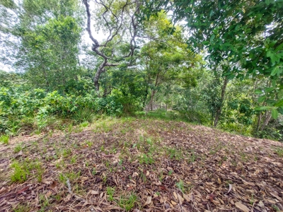 Own a remote Island, Bocas del Toro Panama, great price! - image 2