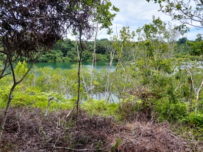 Own a remote Island, Bocas del Toro Panama, great price! - image 10