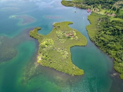 Own a remote Island, Bocas del Toro Panama, great price! - image 24