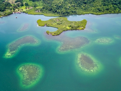 Own a remote Island, Bocas del Toro Panama, great price! - image 22