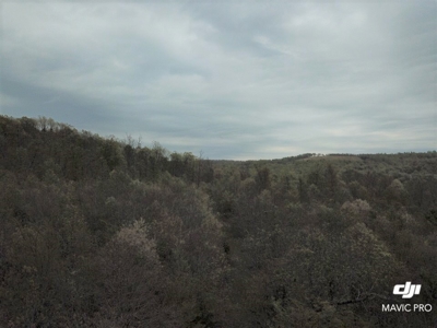 80 acres of the beautiful Ozark Mountains - image 21