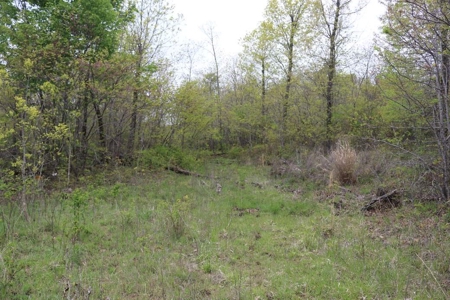 80 acres of the beautiful Ozark Mountains - image 2