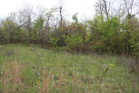 80 acres of the beautiful Ozark Mountains - image 4