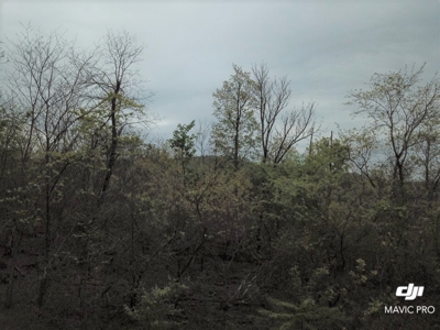80 acres of the beautiful Ozark Mountains - image 20