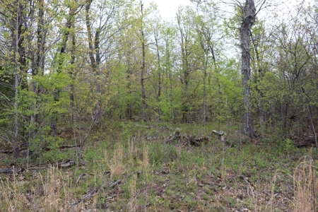80 acres of the beautiful Ozark Mountains - image 3