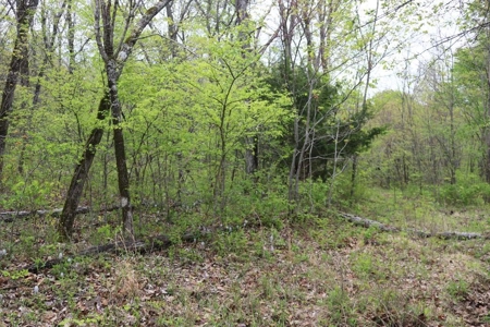 80 acres of the beautiful Ozark Mountains - image 9