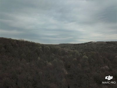 80 acres of the beautiful Ozark Mountains - image 18