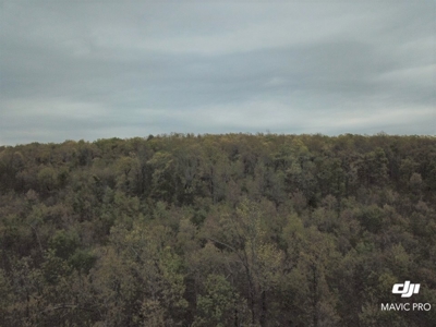 80 acres of the beautiful Ozark Mountains - image 22