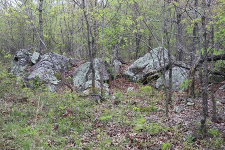 80 acres of the beautiful Ozark Mountains - image 12