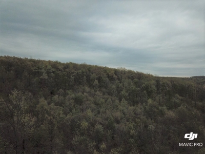 80 acres of the beautiful Ozark Mountains - image 14