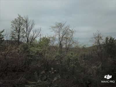 80 acres of the beautiful Ozark Mountains - image 15