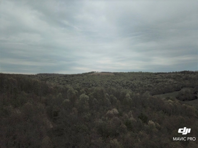 80 acres of the beautiful Ozark Mountains - image 19