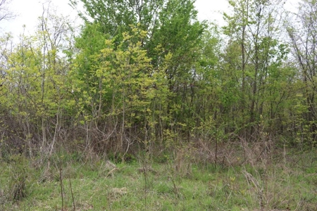 80 acres of the beautiful Ozark Mountains - image 5