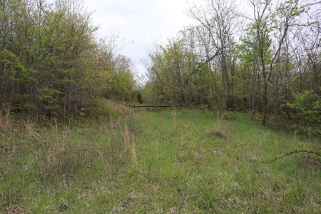80 acres of the beautiful Ozark Mountains - image 7