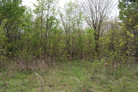 80 acres of the beautiful Ozark Mountains - image 6