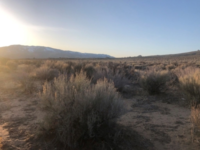 Nevada Residential Buildable Horse Property Land For Sale - image 8