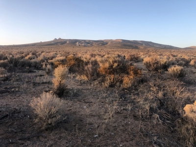 Nevada Residential Buildable Horse Property Land For Sale - image 2