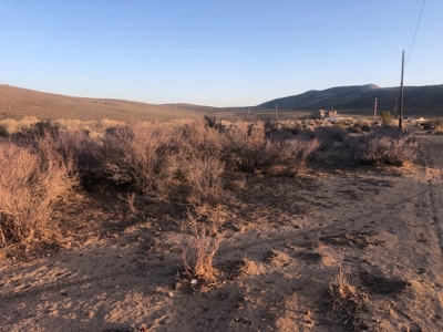 Nevada Residential Buildable Horse Property Land For Sale - image 7