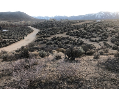 Nevada Residential Buildable Horse Property Land For Sale - image 9