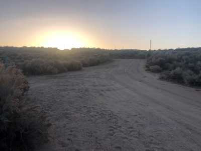 Nevada Residential Buildable Horse Property Land For Sale - image 14