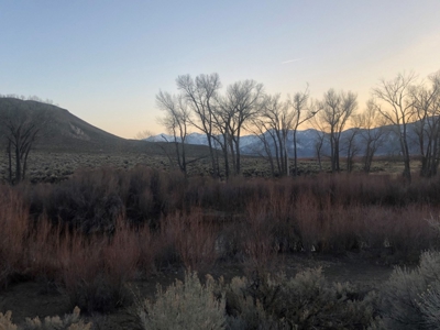 Nevada Residential Buildable Horse Property Land For Sale - image 16