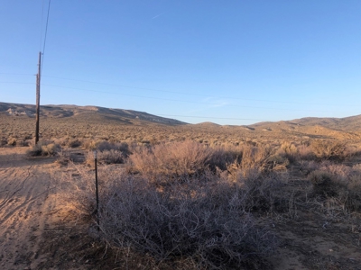 Nevada Residential Buildable Horse Property Land For Sale - image 5