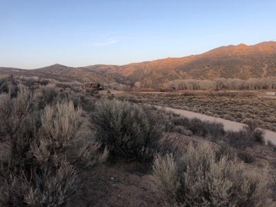 Nevada Residential Buildable Horse Property Land For Sale - image 10