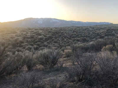 Nevada Residential Buildable Horse Property Land For Sale - image 12