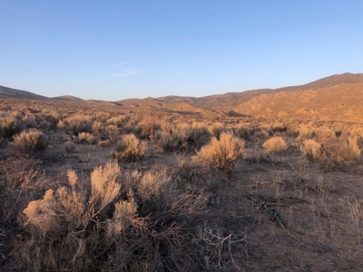 Nevada Residential Buildable Horse Property Land For Sale - image 3