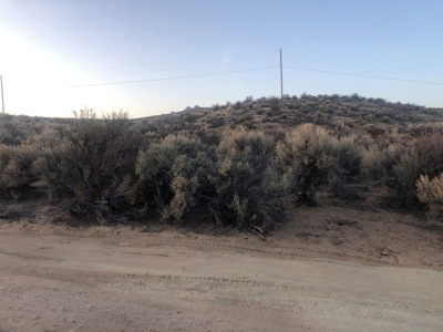 Nevada Residential Buildable Horse Property Land For Sale - image 15