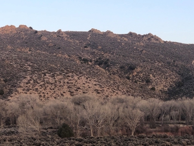 Nevada Residential Buildable Horse Property Land For Sale - image 11