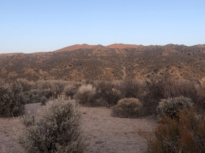 Nevada Residential Buildable Horse Property Land For Sale - image 13