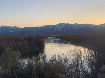 Nevada Residential Buildable Horse Property Land For Sale - image 17