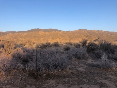 Nevada Residential Buildable Horse Property Land For Sale - image 6