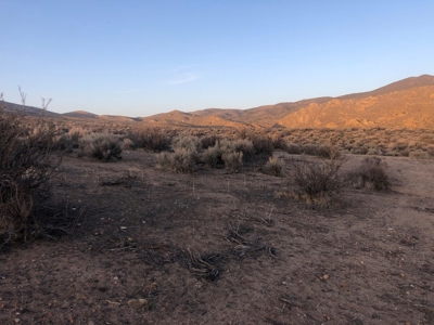 Nevada Residential Buildable Horse Property Land For Sale - image 4