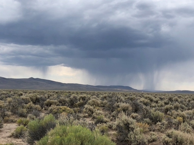 Nevada Recreational Ranch Hunting Washoe Co Land For Sale - image 2