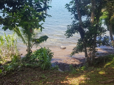Waterfront land, Punta Laurel, Isla Popa - image 12