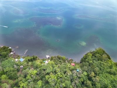 Waterfront land, Punta Laurel, Isla Popa - image 4
