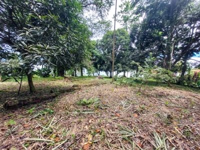 Waterfront land, Punta Laurel, Isla Popa - image 10