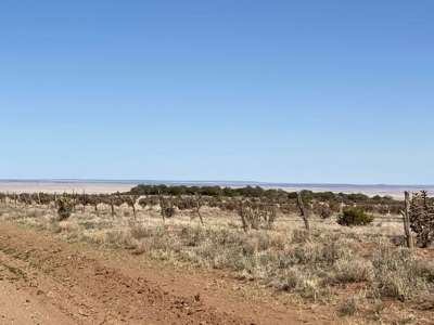 Santa Fe County New Mexico Ranch Residential Land For Sale - image 10