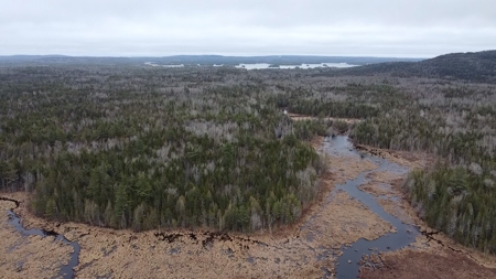 Waterfront land in Washington County - image 2