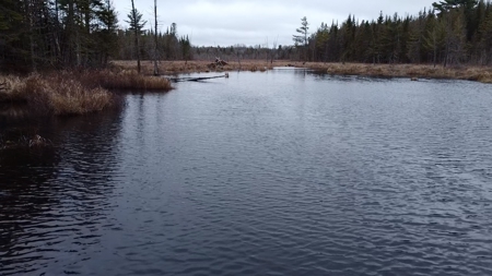 Waterfront land in Washington County - image 4